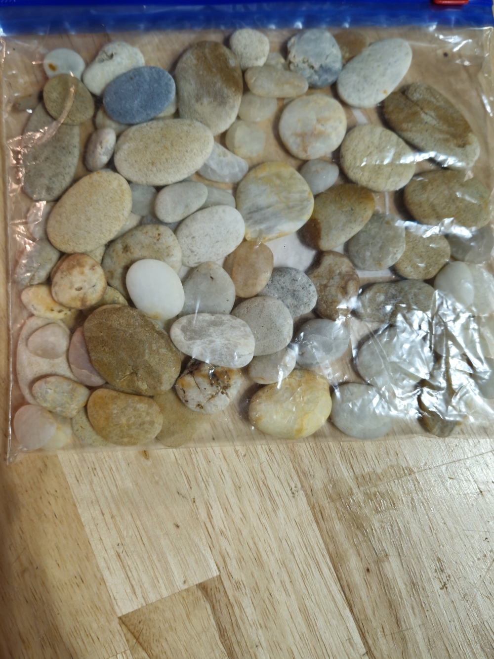 Natural Chesapeake Bay Rock Accent Stones - Multicolor